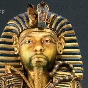 Meet your Posher, Steve